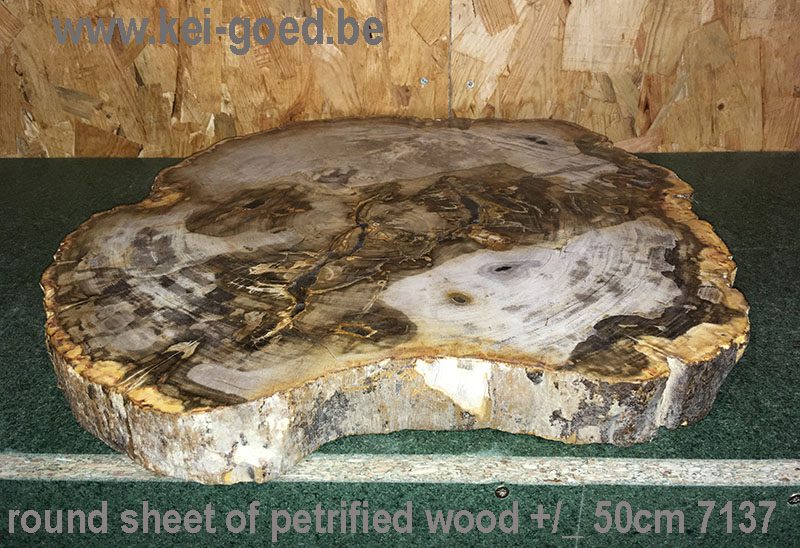 natuursteen tafelblad van versteend hout fossiel koffie tafelblad