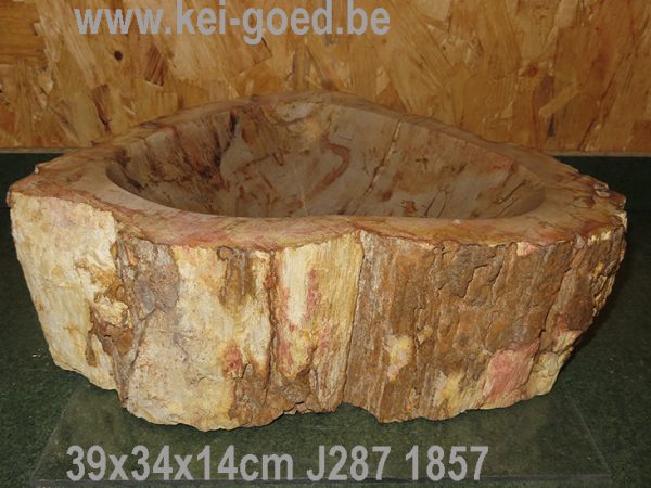 Versteend houten wasbak fossiel hout