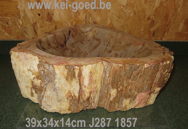 Uitwerpselen Nominaal poort Versteend houten wasbak fossiel hout grootste collectie van de EU  www.kei-goed.be