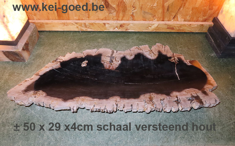 schaal van versteend hout te koop bij www.keigoed.be